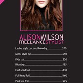 AlisonWilson Hair Stylist Logo and Flyer